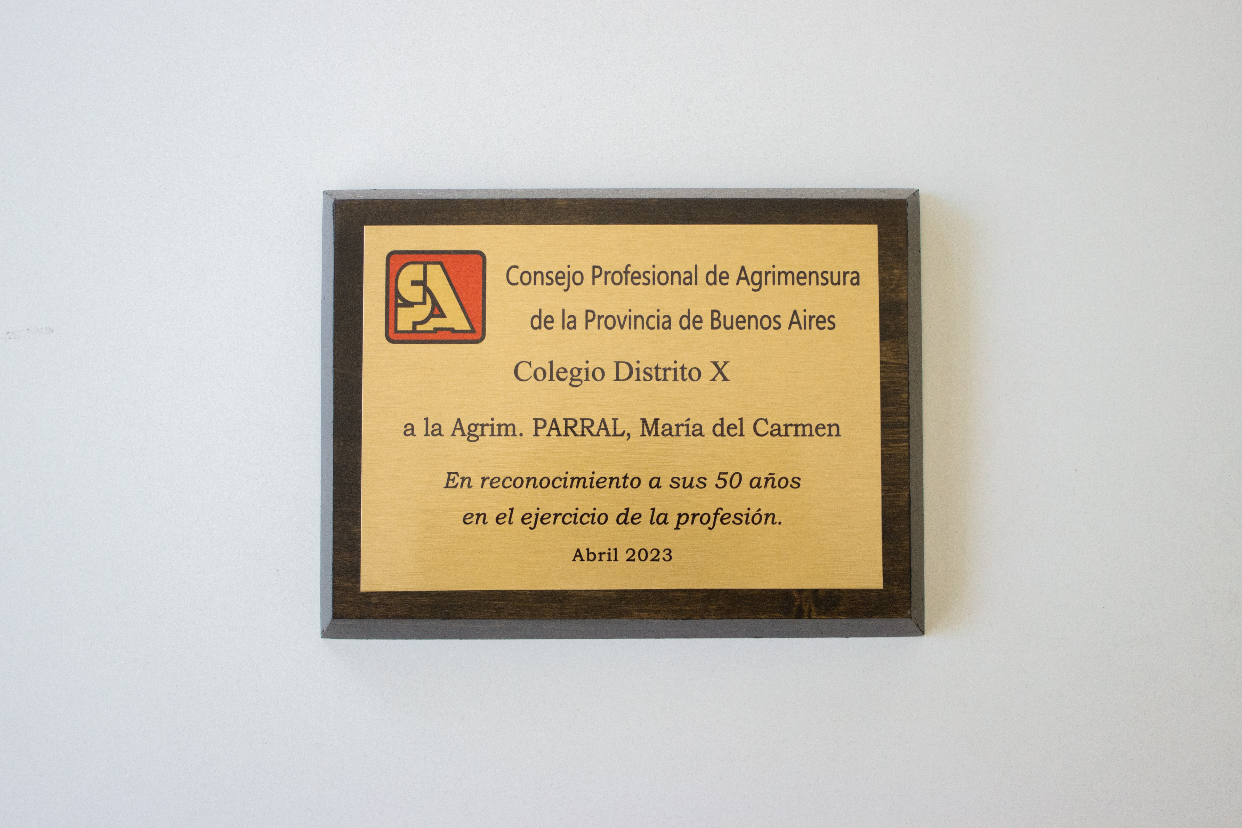Placa de reconocimiento